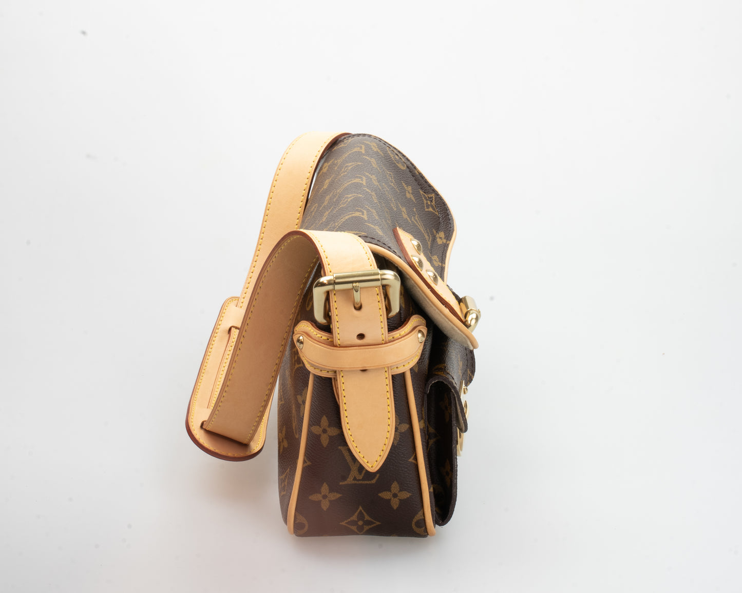 Louis Vuitton Monogram Hudson handbag